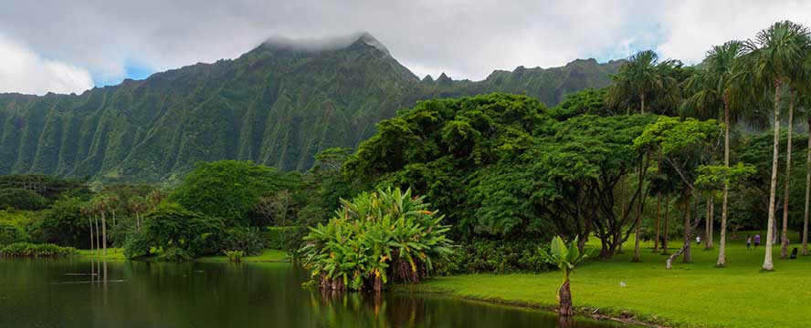 A Hawaiian landscape