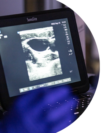 Ultrasonography for Acute Care Procedures Workshop