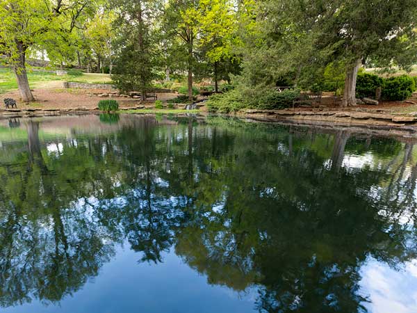 Cheekwood Estate and Gardens