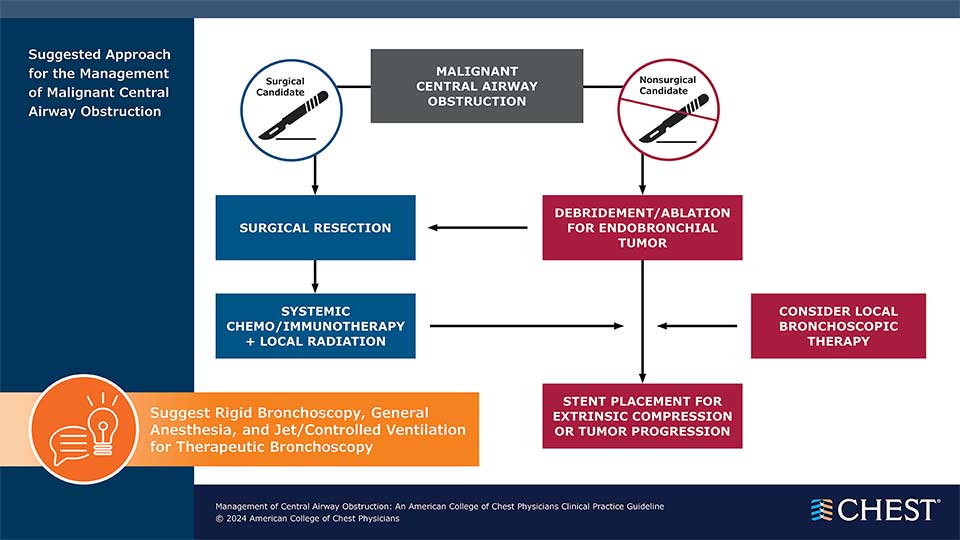 Suggested Approach for the Management of Malignant Central Airway Obstruction