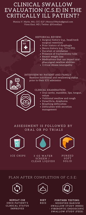 Clinical Swallow Examination examination