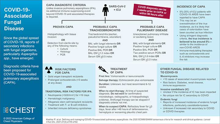 COVID-19-Associated Fungal Disease infographic