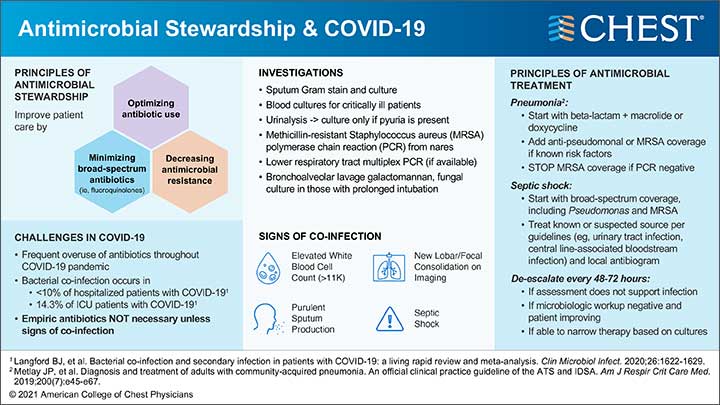 Immunomodulators Infographic