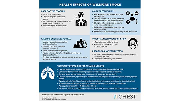 Wildfire smoke infographic